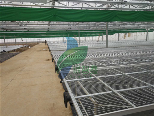 活动苗床产品特性与温度调节指南